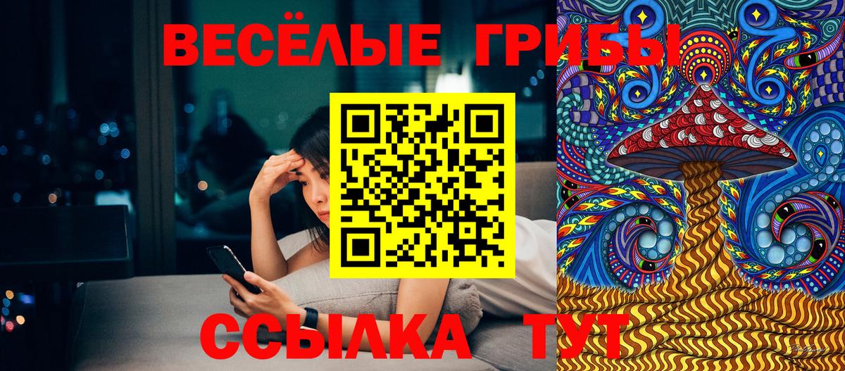 Галлюциногенные грибы мицелий Соль-Илецк